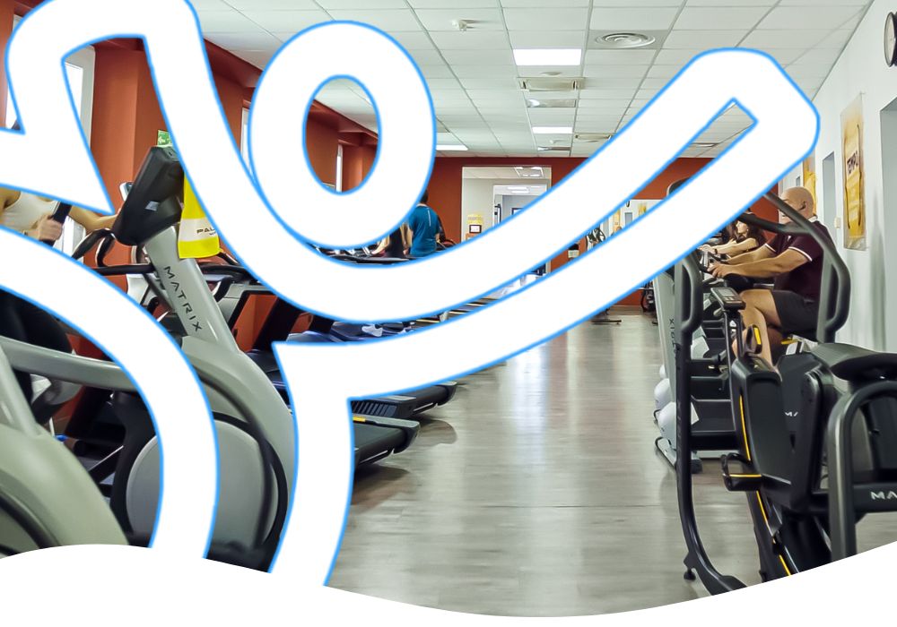palagym assarotti - sala cardio 2025